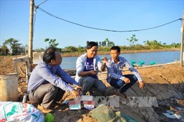  Gần 600 ha nuôi tôm ở Ninh Bình bị chết chưa rõ nguyên nhân